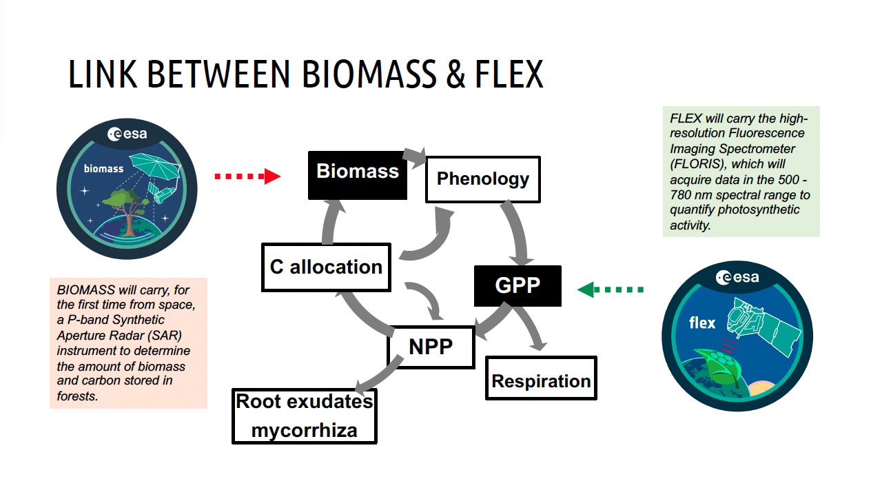 The 10th Virtual EEBIOMASS Workshop in collaboration with FLEX