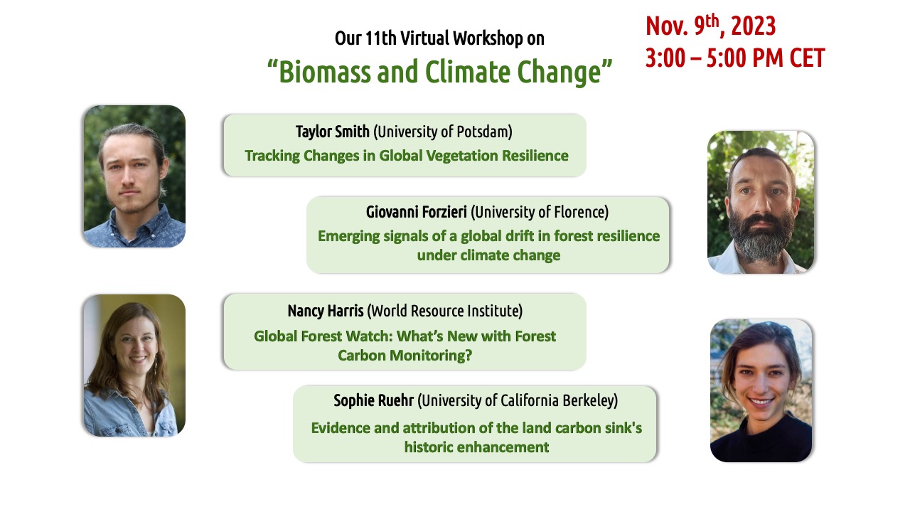 The 11th EEBIOMASS virtual workshop on “Biomass and Climate Change”