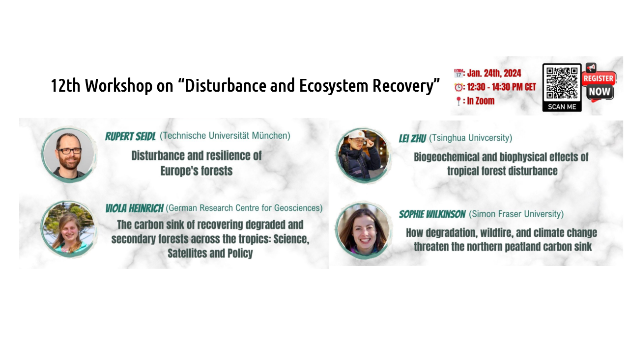 The 12th EEBIOMASS virtual workshop on “Disturbances and Ecosystem Recovery”
